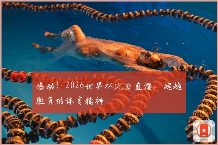 感动!2026世界杯比分直播,超越胜负的体育精神