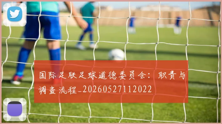 国际足联足球道德委员会：职责与调查流程_20260527112022